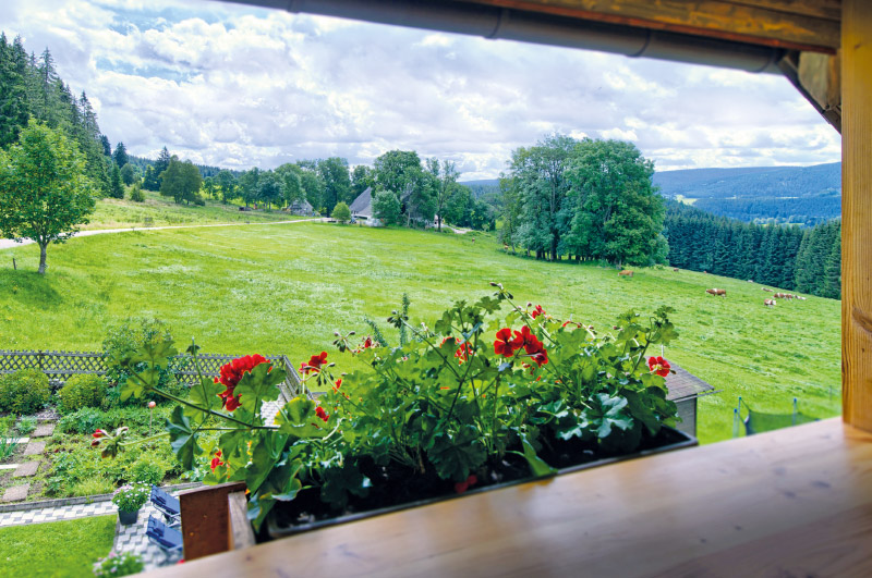 Haus Brugger - Ferienwohnung & Gästezimmer Lenzkirch Saig im Schwarzwald