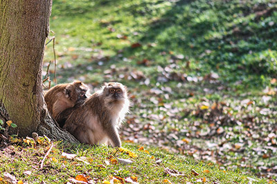 Tiergehege Mundenhof in Freiburg