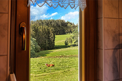 Gästezimmer im Haus Brugger in Lenzkirch-Saig