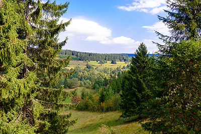 Lenzkirch im Hochschwarzwald