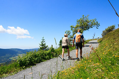 Wandern, Rad fahren, Mountainbike